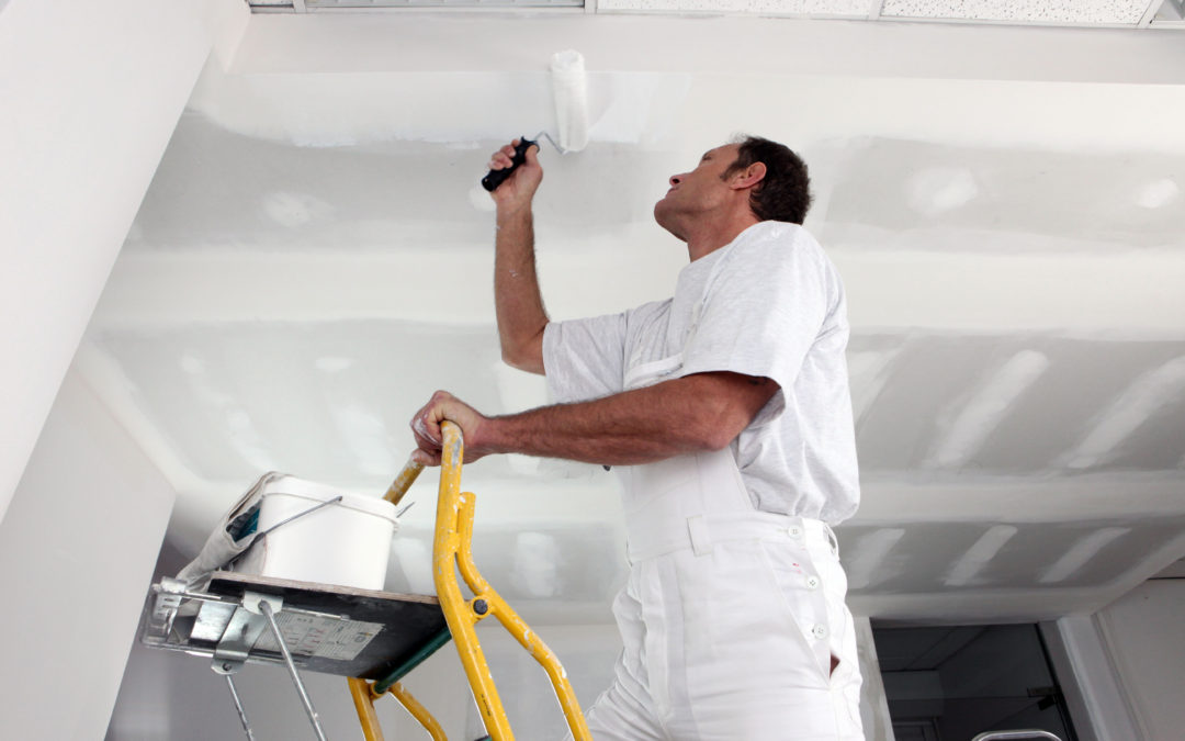 National franchise brand Painting Contractor Exclusive Marin territory
